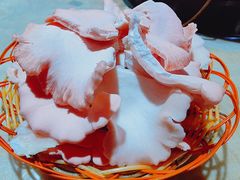 -仙蘑洞
