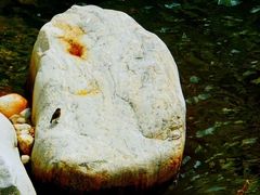 -陕西省红河谷森林公园