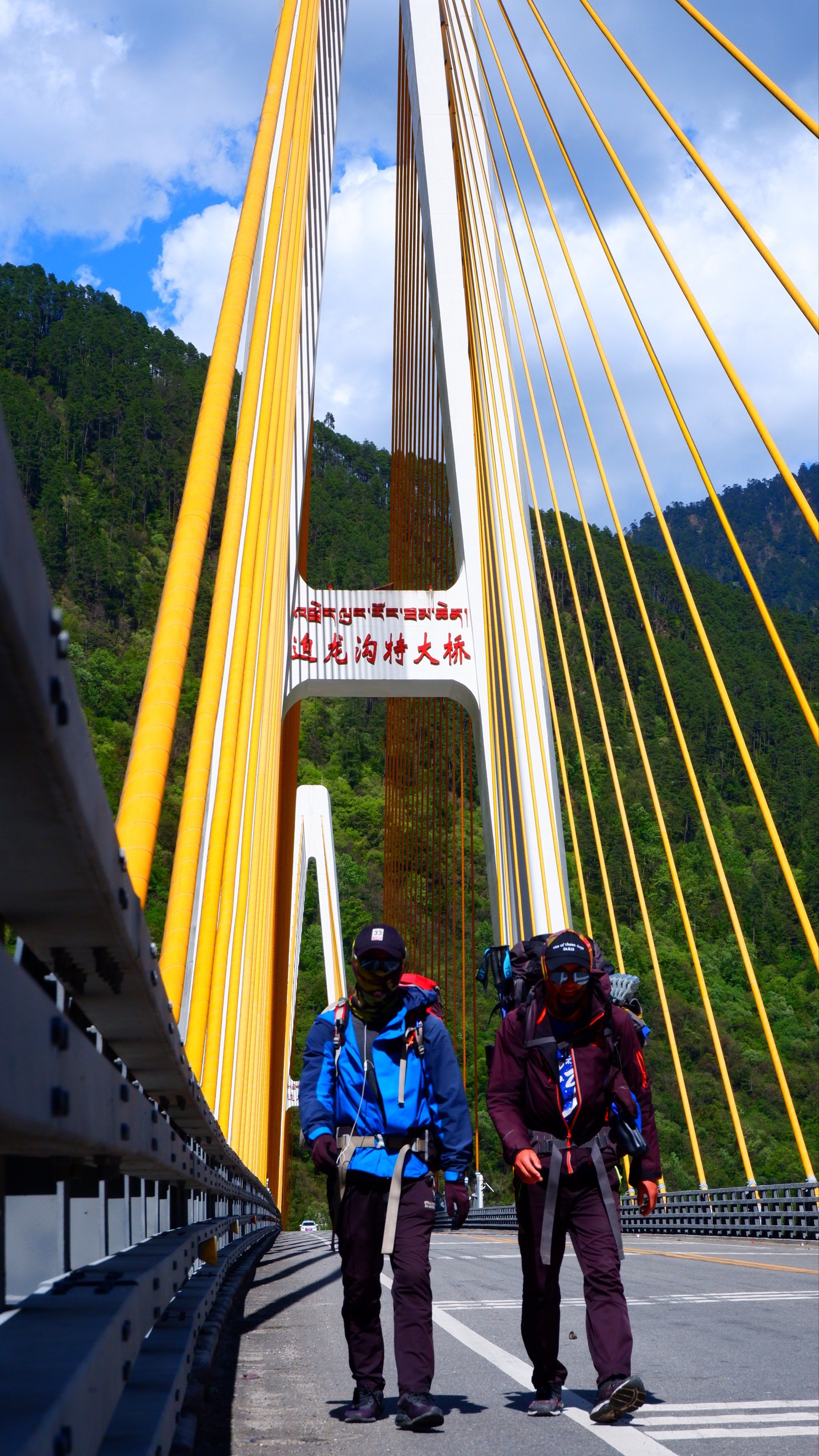 追龙沟特大桥介绍图片