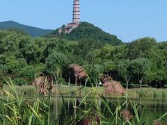 -北坞公园