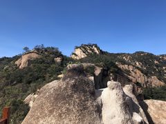 -大岭沟猕猴桃谷风景区