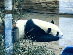 -石家庄市动物园