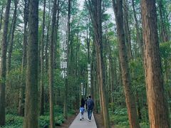 -同里国家湿地公园
