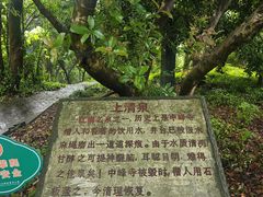 -上海佘山国家森林公园天马山园