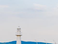 -星光岛