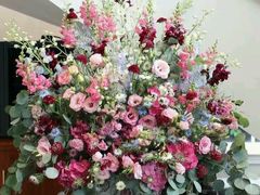 -爱侣宠医·鹦鹉专科·小型哺乳类·异宠专科(灵石路店)