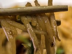 -忆外婆徐州菜·地锅鸡·生日宴(吴庄店)