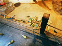 -酷嗒动物文化乐园(cutezoo西溪乐天城店)