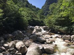 -青峰峡国家森林公园