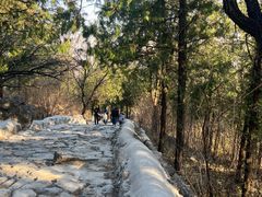 -阳台山自然风景区