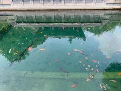 -百脉泉景区