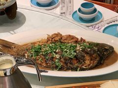 -老长春肉馆(创业大街店)