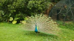 动物园-云湖游乐园