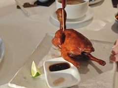 -侨美·唐荔园·40年地道粤菜