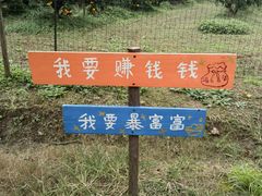 -前小桔亲子创意农场·草莓采摘·露营烧烤