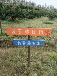 -前小桔亲子创意农场·草莓采摘·露营烧烤