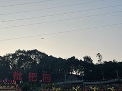 -枇杷园食为鲜火锅(南山店)