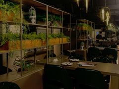 -Oasis Bar & Grill