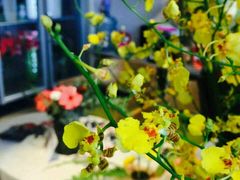 -杭州街角花屋花店(闻堰店)