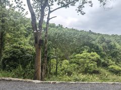 -孔雀湖生态旅游区