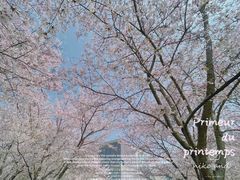 -龙美术馆(西岸馆)