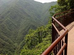 -陕西省红河谷森林公园