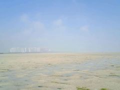 -北海金海湾红树林生态旅游区