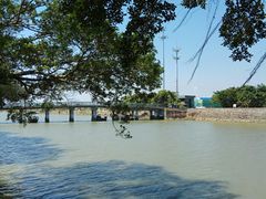 -大湾区中央湿地公园