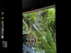 -海南清水湾莱佛士酒店