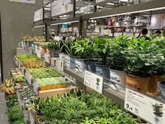 -鹿岛会员店(熙地港店)