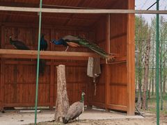 -西山漾湿地公园