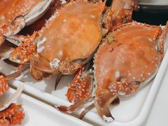 -大锅强·蒸海鲜青岛菜(吾悦广场店)