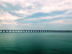 -宝安西湾红树林湿地公园