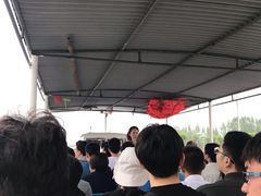 -白洋淀景区
