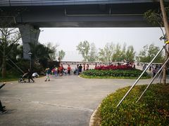 -宝安西湾红树林湿地公园