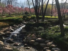 -大连植物园