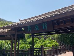 -铁山坪森林公园