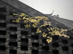 -T80科技文化国际社区-停车场