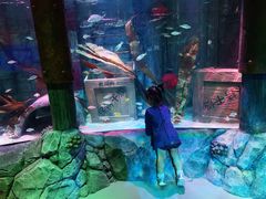 -沈阳海洋探索中心