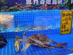 水产区-驻海渔市(置信店)