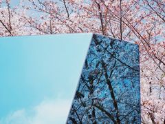 -龙美术馆(西岸馆)