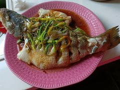 -爱月宝月嫂育儿嫂(太原店)