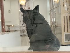 -共舞时光猫咖·狗咖(新街口店)