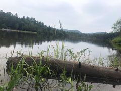 -五营红松林海景区