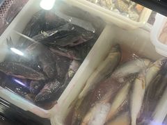 -畲乡一品鱼府土菜馆