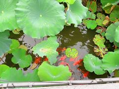 -丝绸小镇荻港古村