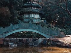 -深圳国际园林花卉博览园