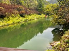 -桃花岭景区