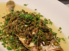 -顶特勒·黄鱼馆·特色菜(上海大世界店)