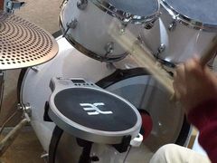 -Monkey Music小猴子现代音乐